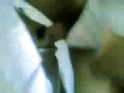 அனைத்து நோக்கம் கழுதை